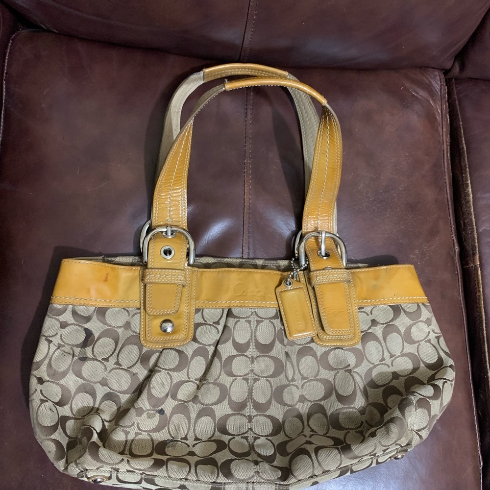 Stylish Tan and Brown Women's Bag